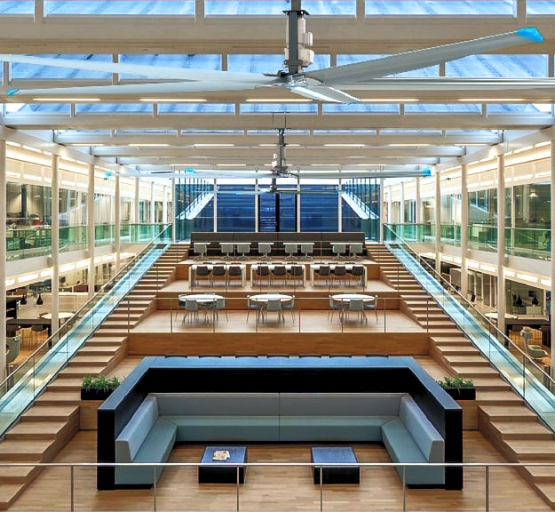 Altra Air Sailfin hanging in building