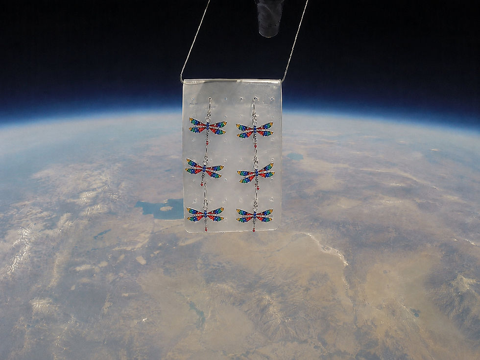 Thumbnail: Rainbow Dragonfly Earrings