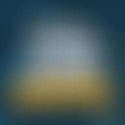 2025 PGA TOUR Season in Review