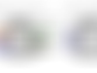 Aprilia RS660 Kick Stand Elimination