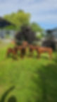 20240609_105724.jpg