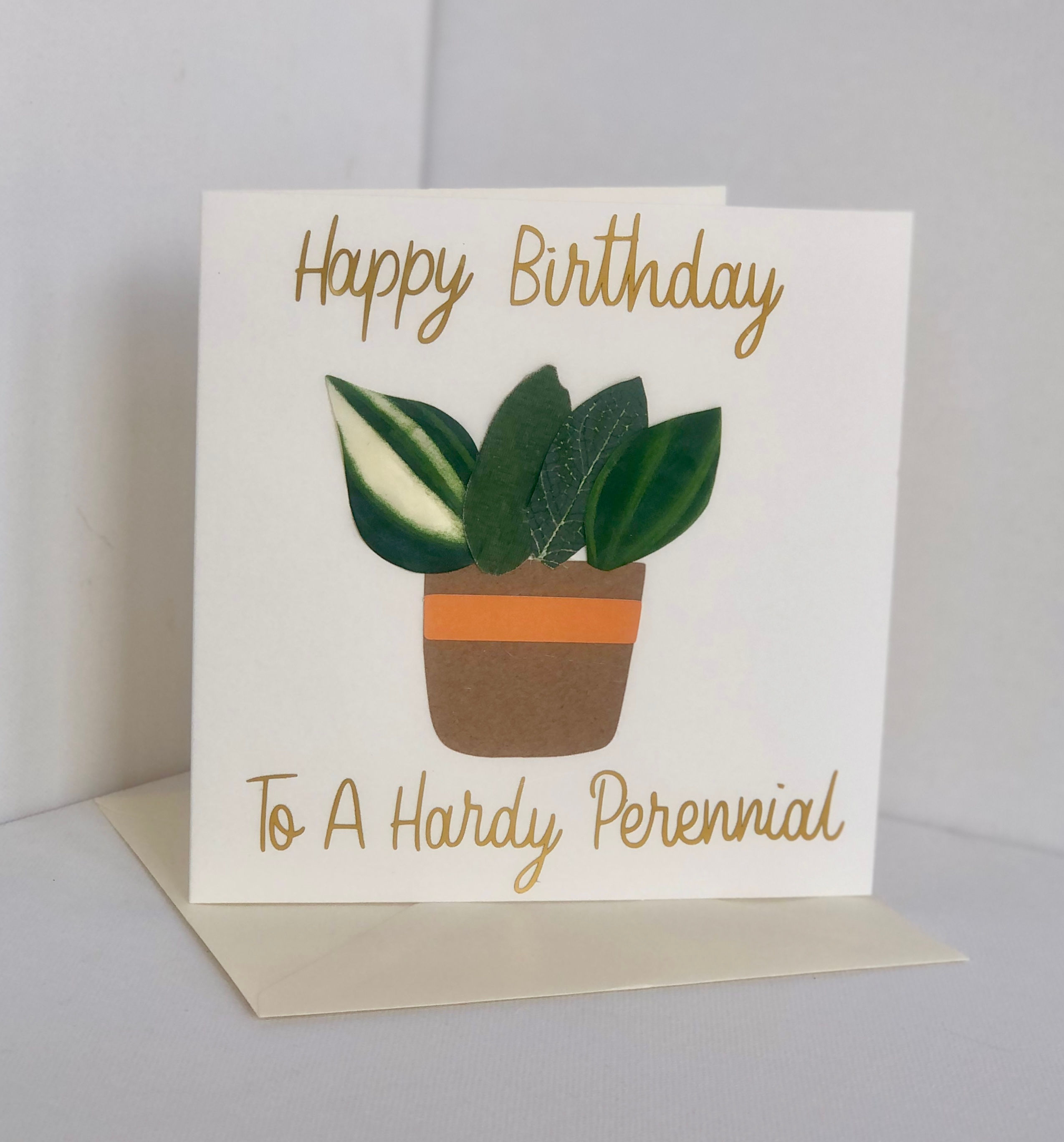 Hardy Perennial Birthday Card