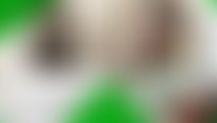 Tédio durante a quarentena?