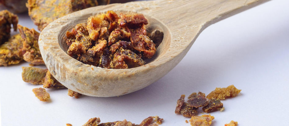 Propolis (kit pszczeli) – naturalny antybiotyk w domowej apteczce