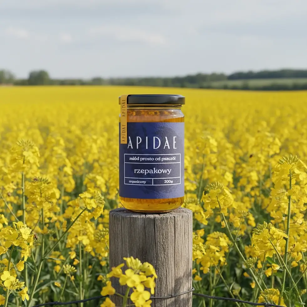 Miód rzepakowy Apidae