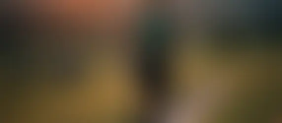 Miód z orzechami: idealna mieszanka na regenerację po twoim długim biegu