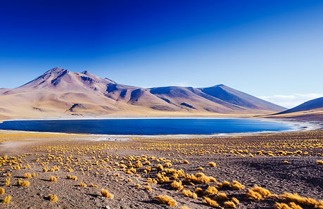 3- Pure Water from the Andes.jpg