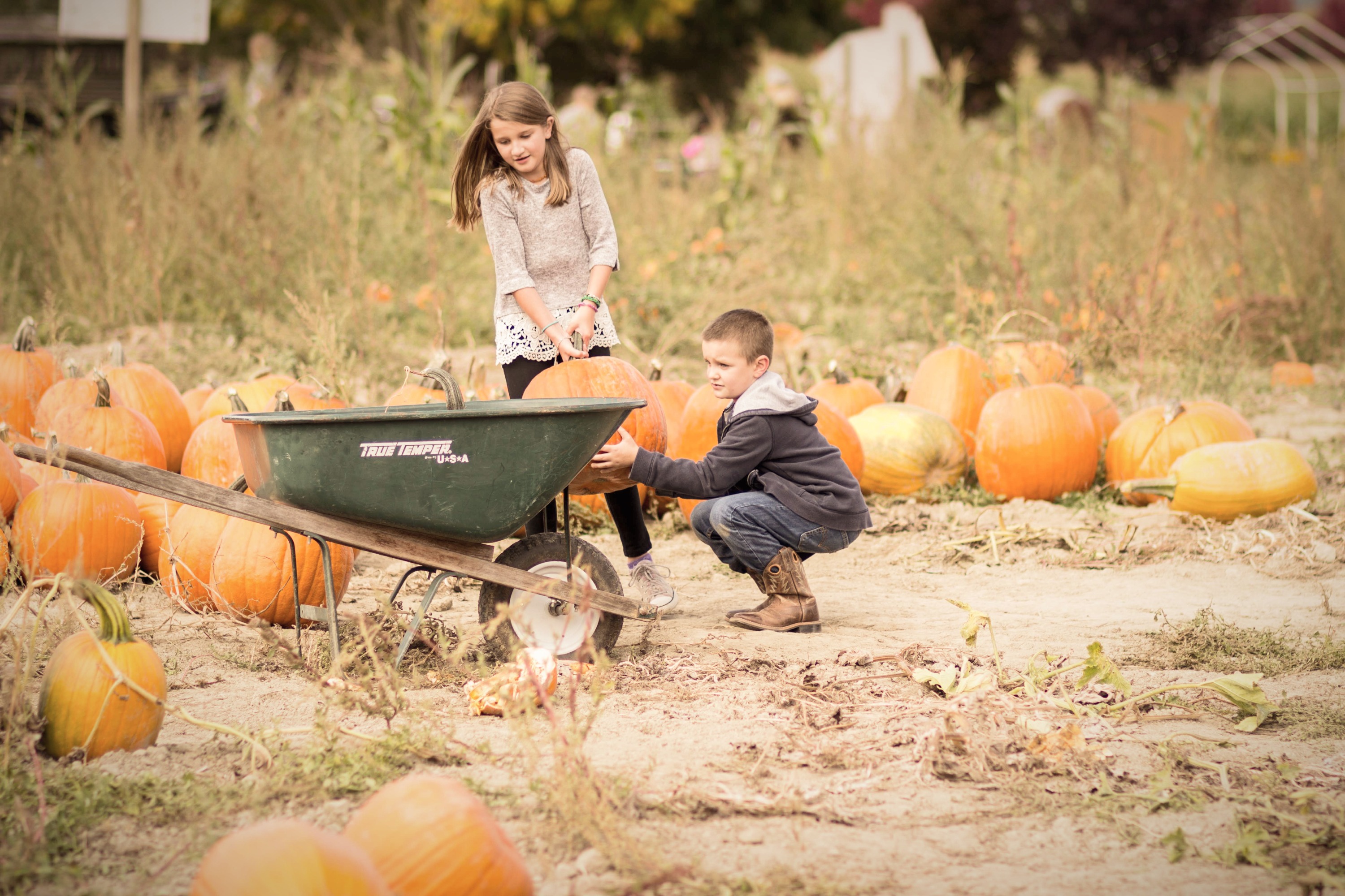 Craven Farm Fall Festival & Pumpkin Patch