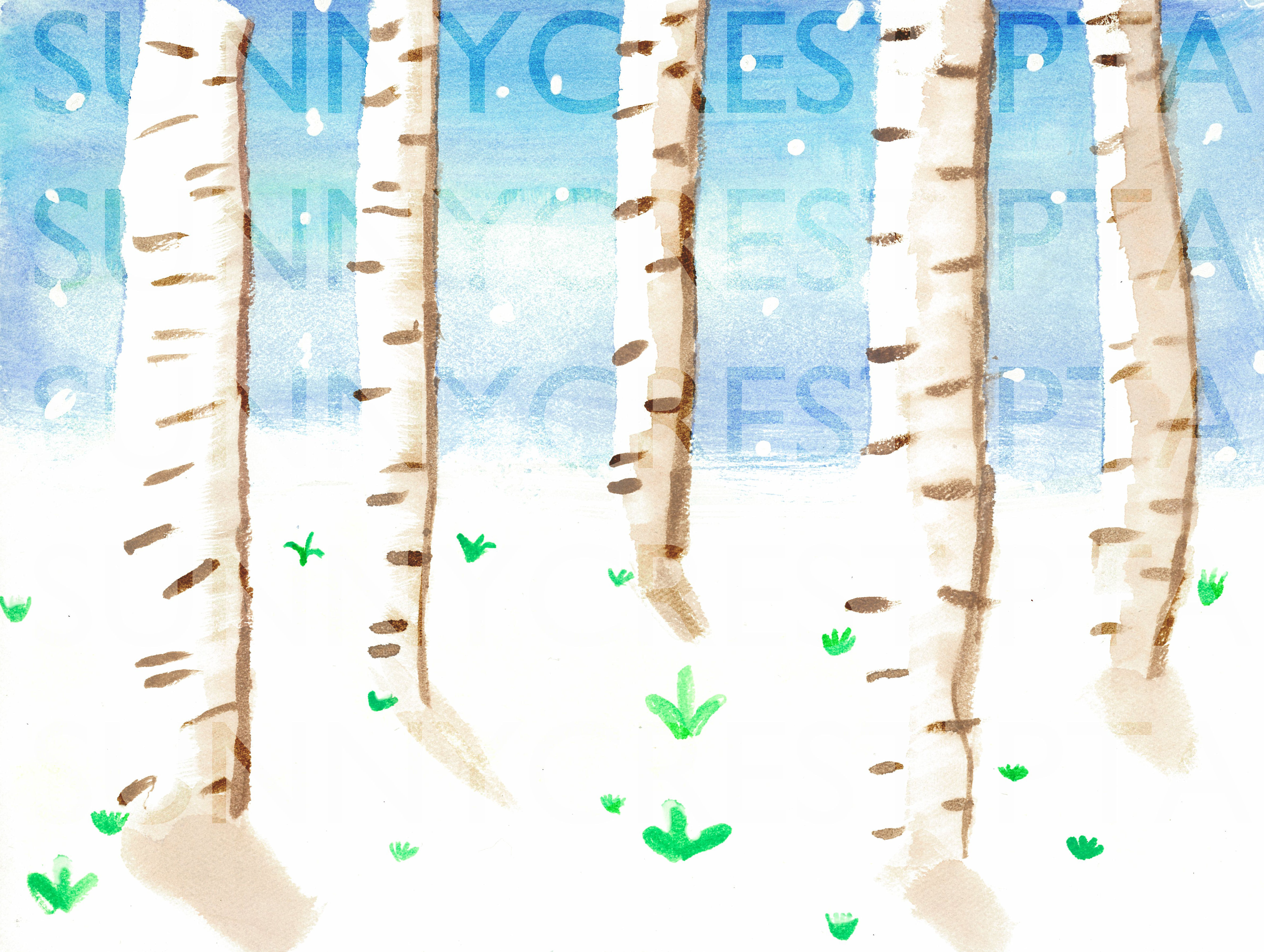 Mr. Brandt's Class - Madelynn (Birch Trees)