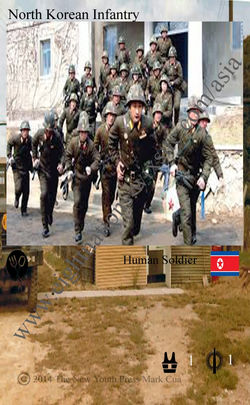 North Korean Infantry_edited