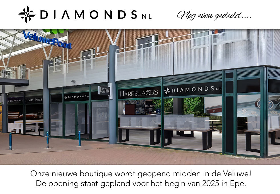 render voor toekomstige winkel epe