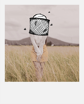 The Beekeeper Polaroid - In Nature
