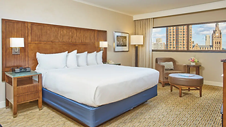 Hyatt-Regency-Milwaukee-P050-King-City-V