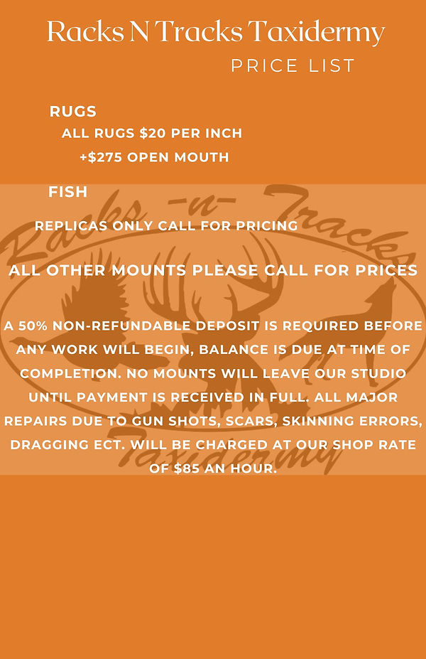 Taxidermy Pricing Racks N Tracks Taxid