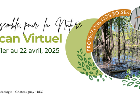 Encan-bénéfice 2025 « Ensemble pour la Nature »
