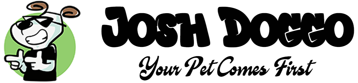 Josh Doggo - Pet sitter in Austin