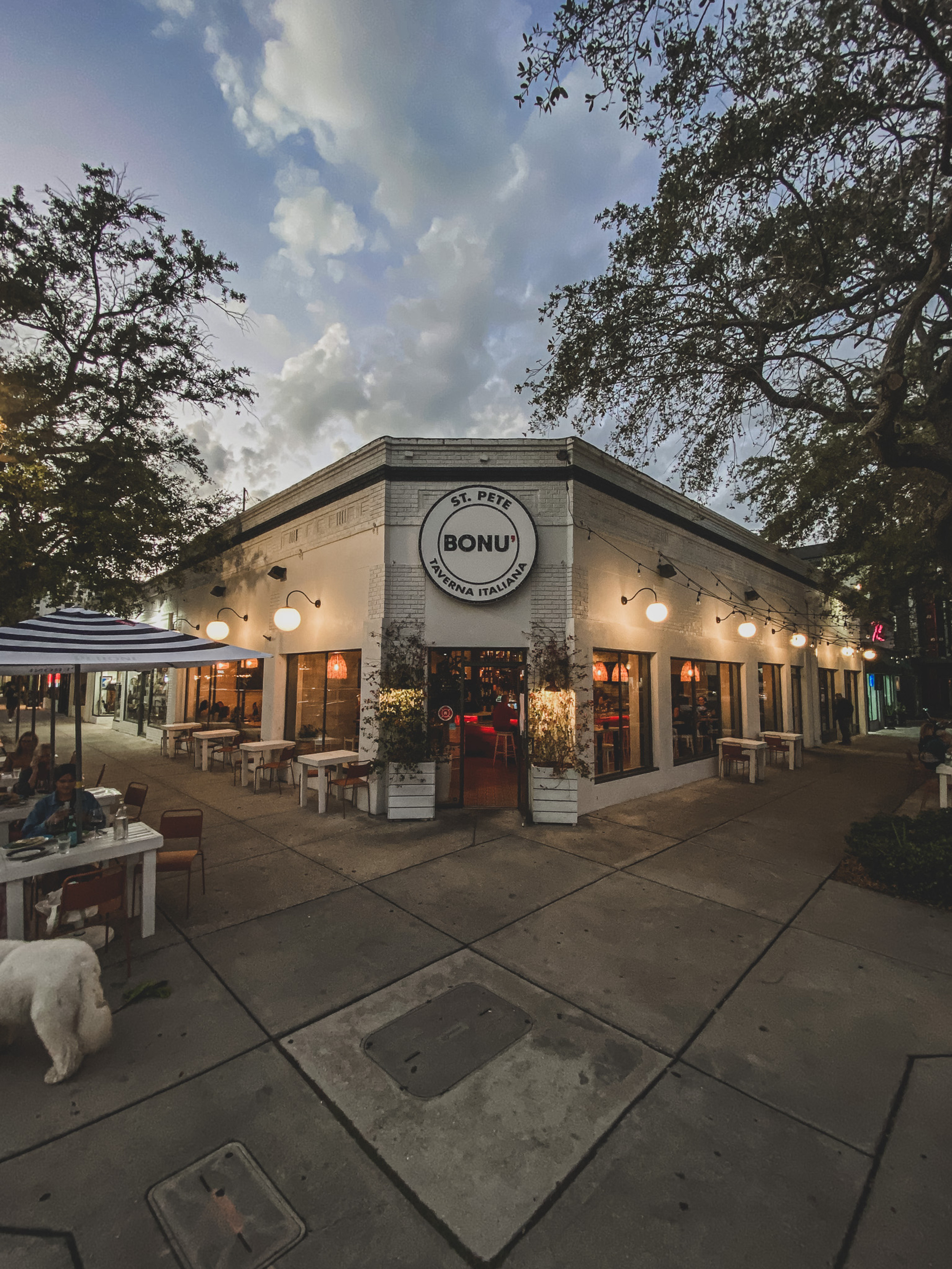 Welcome to Bonu' in St Pete, FL