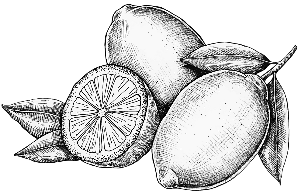 lemon_outline.png