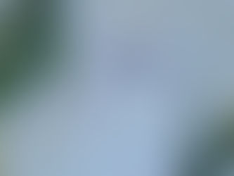 Don't Quit! How to keep your resolutions going