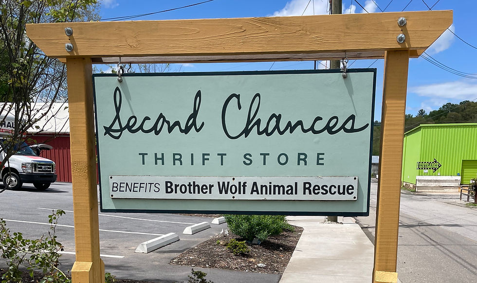 Second Chances Thrift Store