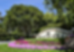 Laguna Niguel Real Estate Sold by JoAnne DeBlis