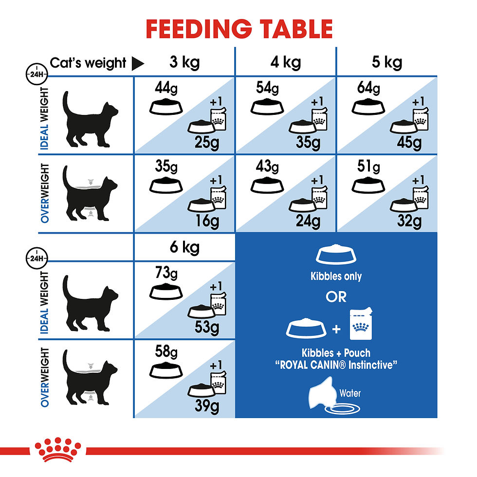 الصورة المصغرة: Feline Health Nutrition Indoor Long Hair 2 kg