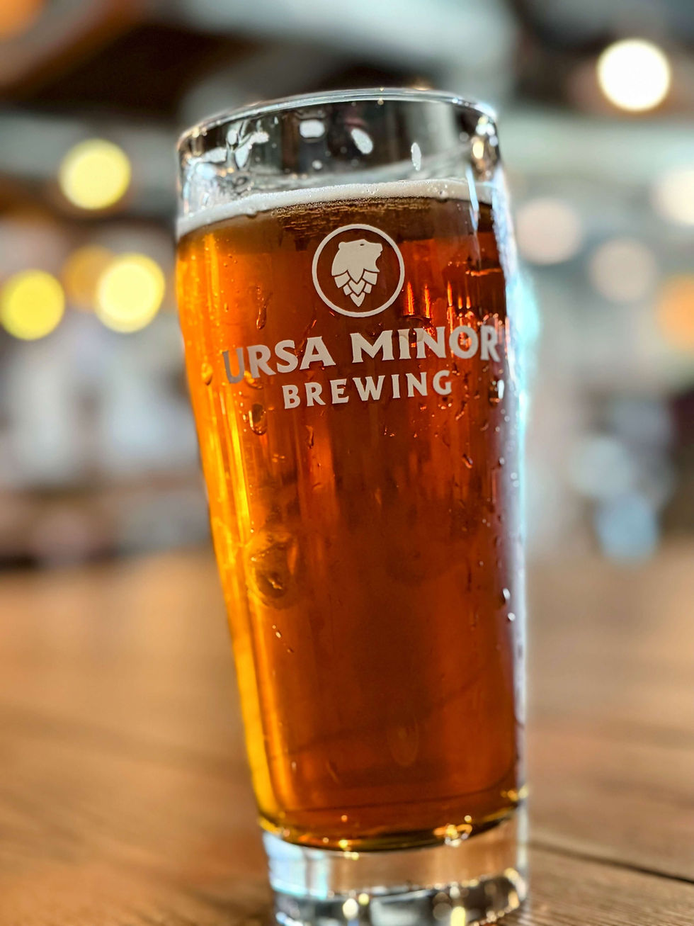 Pint of Snacktime Lager