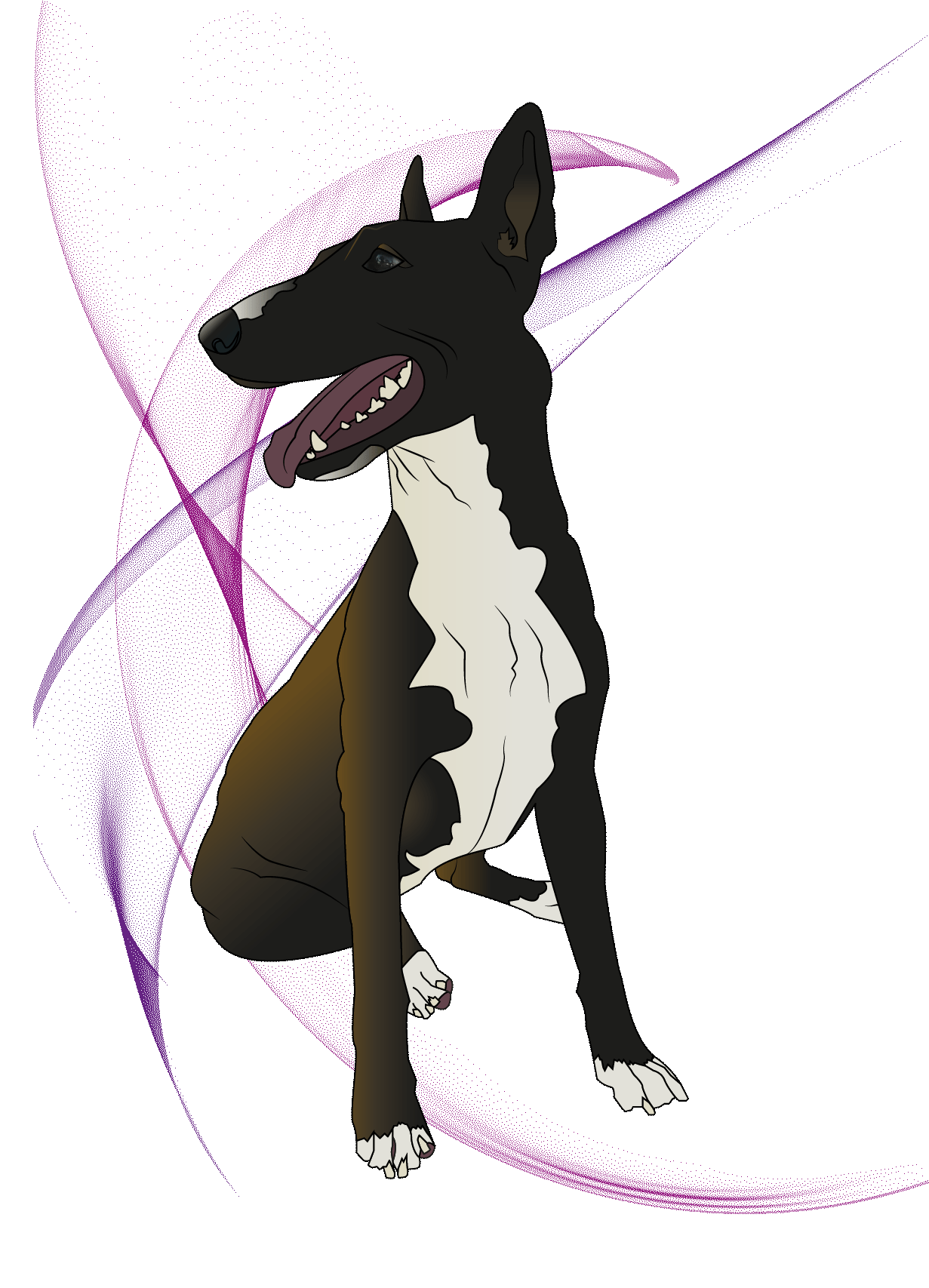 Diseño Vectorial