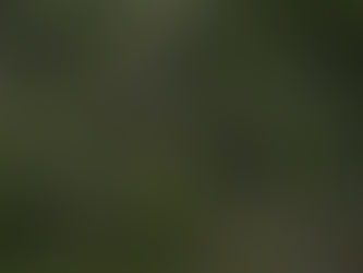 Finding Your Tribe: How Electric Mountain Bikes are Building Stronger Communities Across UK Trails