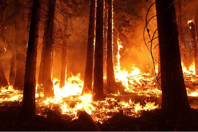 Firefighter Killed while trying to put out El Dorado fire