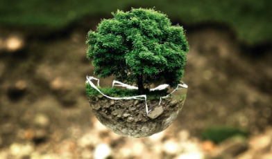 Environment