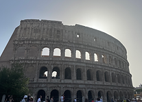 IMG_9972.HEIC