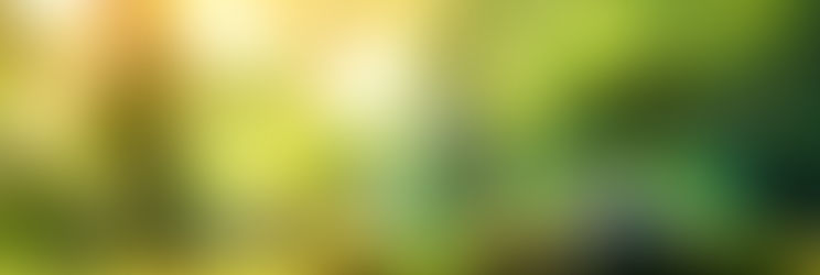 World Environment Day 2024