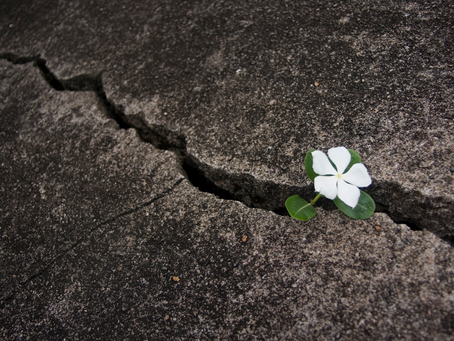 The Real Cost of Scope Creep in Your Service-Based Business
