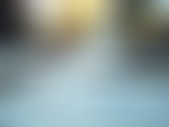 Comprehensive Asset Protection Planning and Asset Risk Management