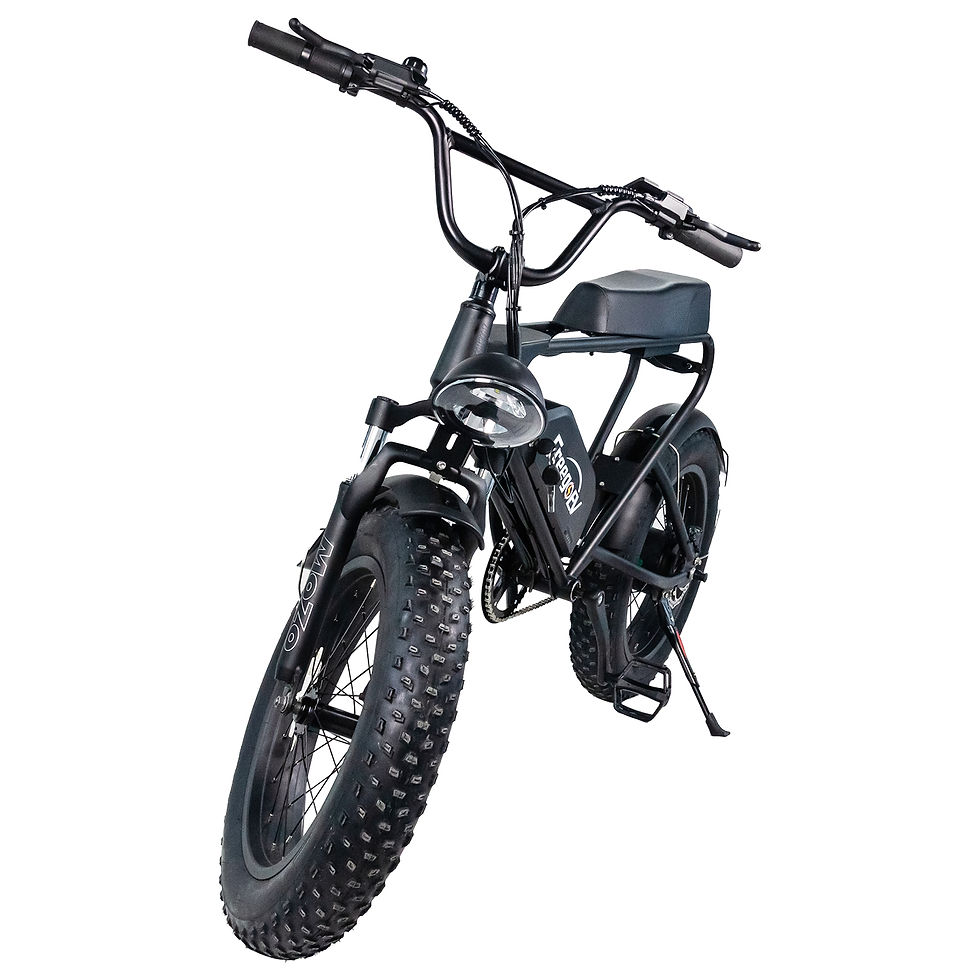 Thumbnail: 1200w 48v 20Ah Electric Fat Tire Bike Powerful Electric Bike Mountain Bikes