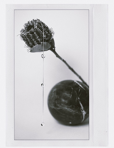 B055568C-3D13-4803-9067-B4B5C20E04CB-FC3