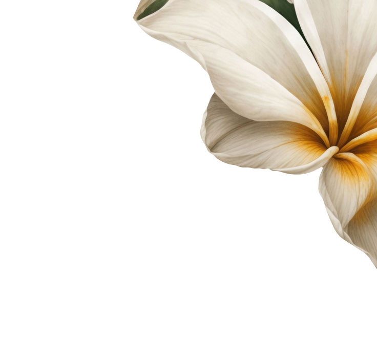 BODYWORKS TOP SIDE BANNER.jpg