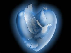 3doves3.jpg