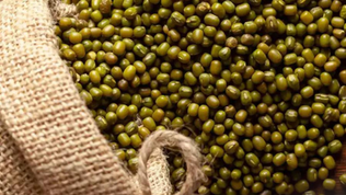 Why Moong Dal Excels in Regulating Blood Sugar: Its Slow-Absorbing Carbohydrates