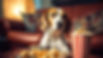 Garde_611265736-low.jpg