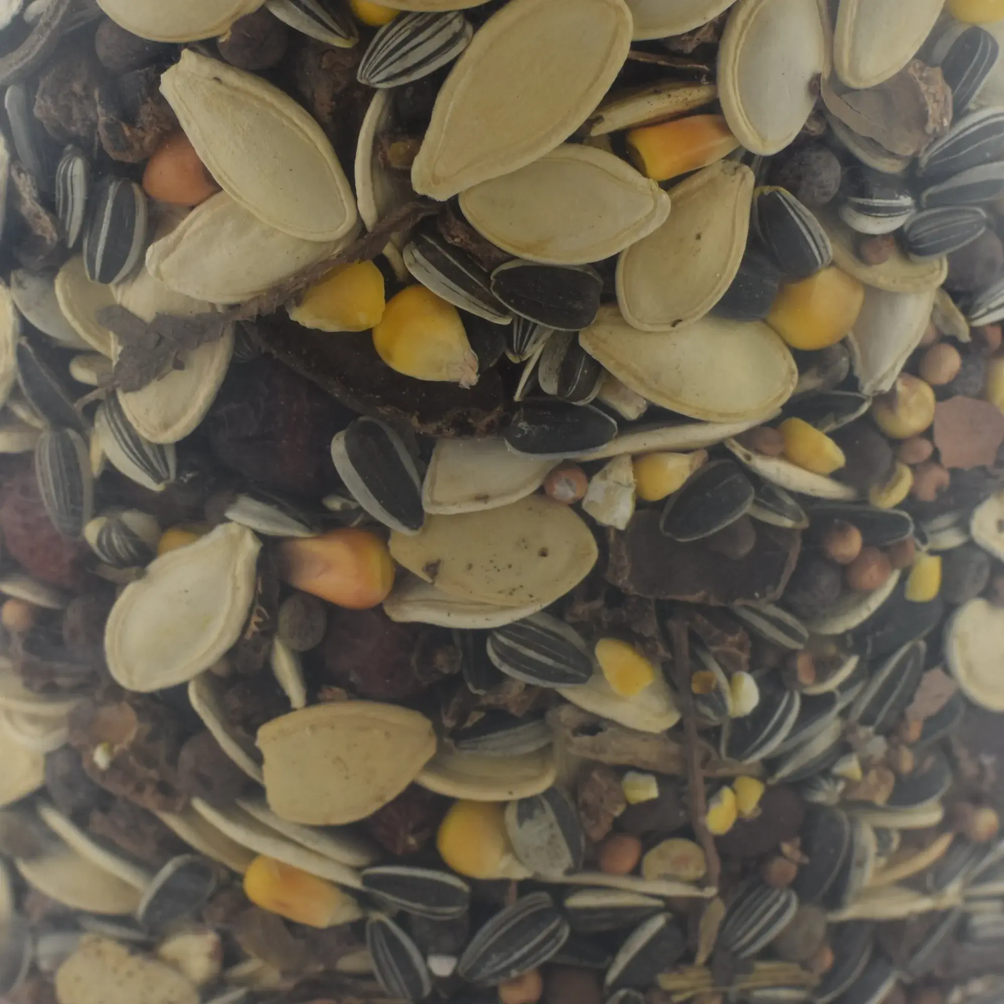 Trópus MAG-MA Mix Közepes Madarak Keveréke