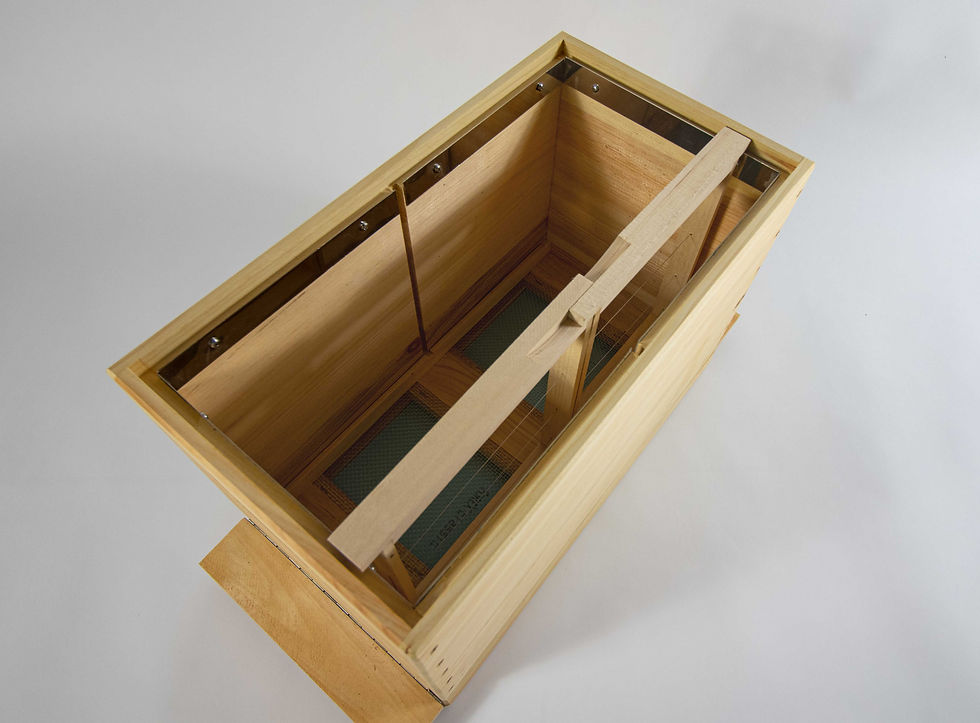 Miniaturbild: Dadant Blatt Ableger-Set