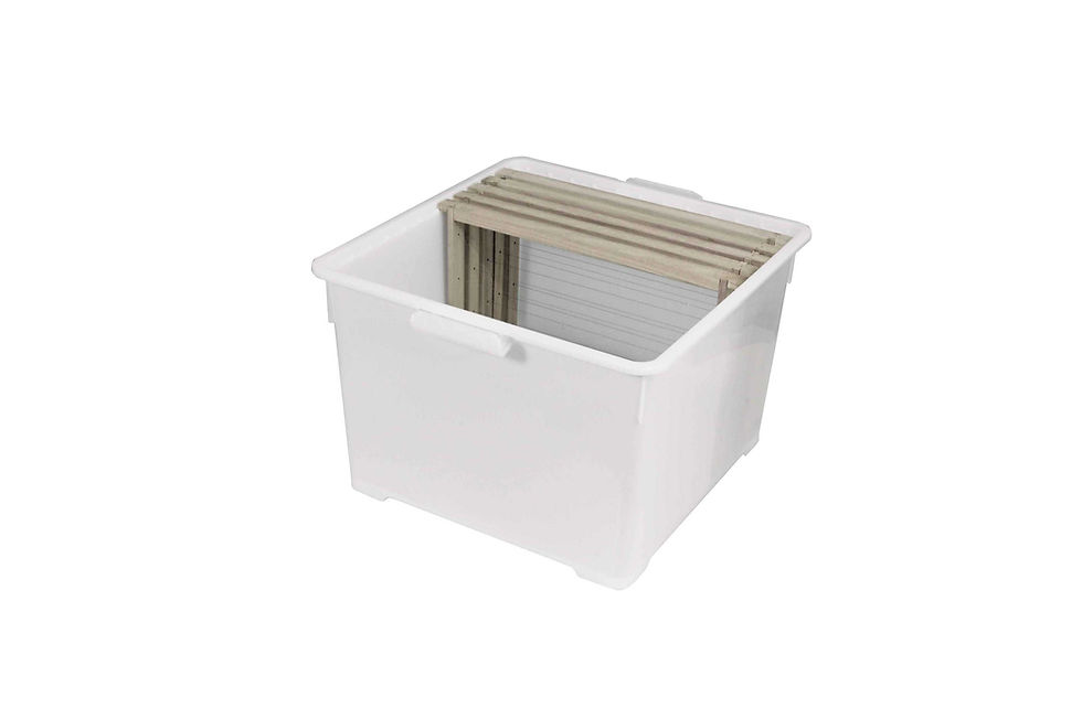 Miniaturbild: RuBee® Transportbox DADANT Brutraum