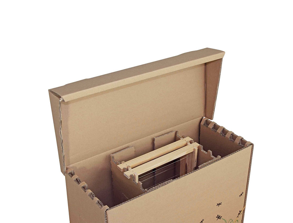 Miniaturbild: RuBee® Bienen Ablegerkarton