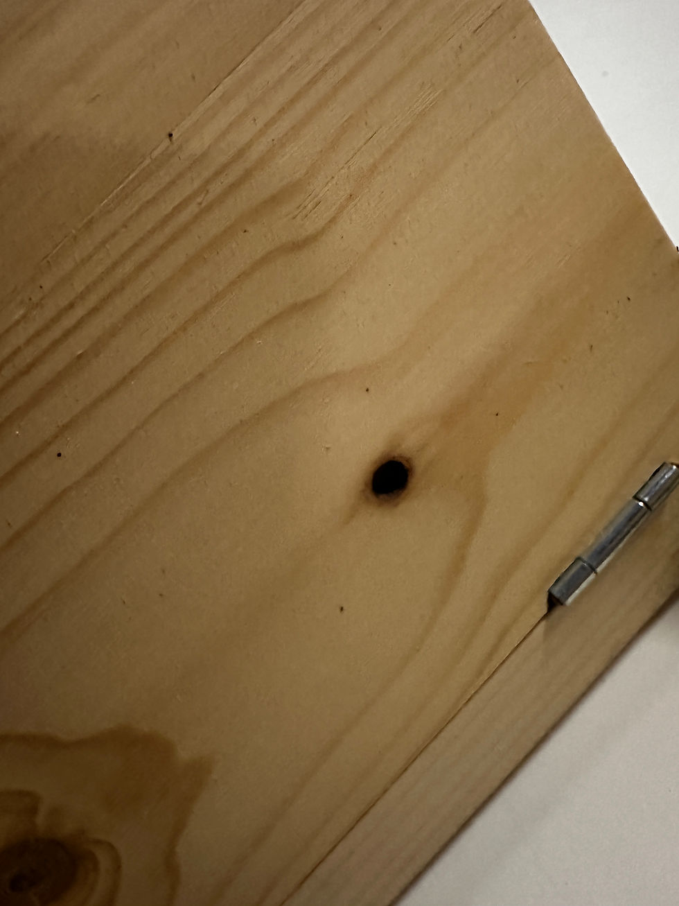 Miniaturbild: CH-Mass Flugnische "Tradition" - Einzelstück