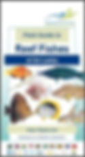 Reef Fishes of Sri Lanka Book Arjan Rajasuriya