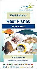 Reef Fishes of Sri Lanka Book Arjan Rajasuriya