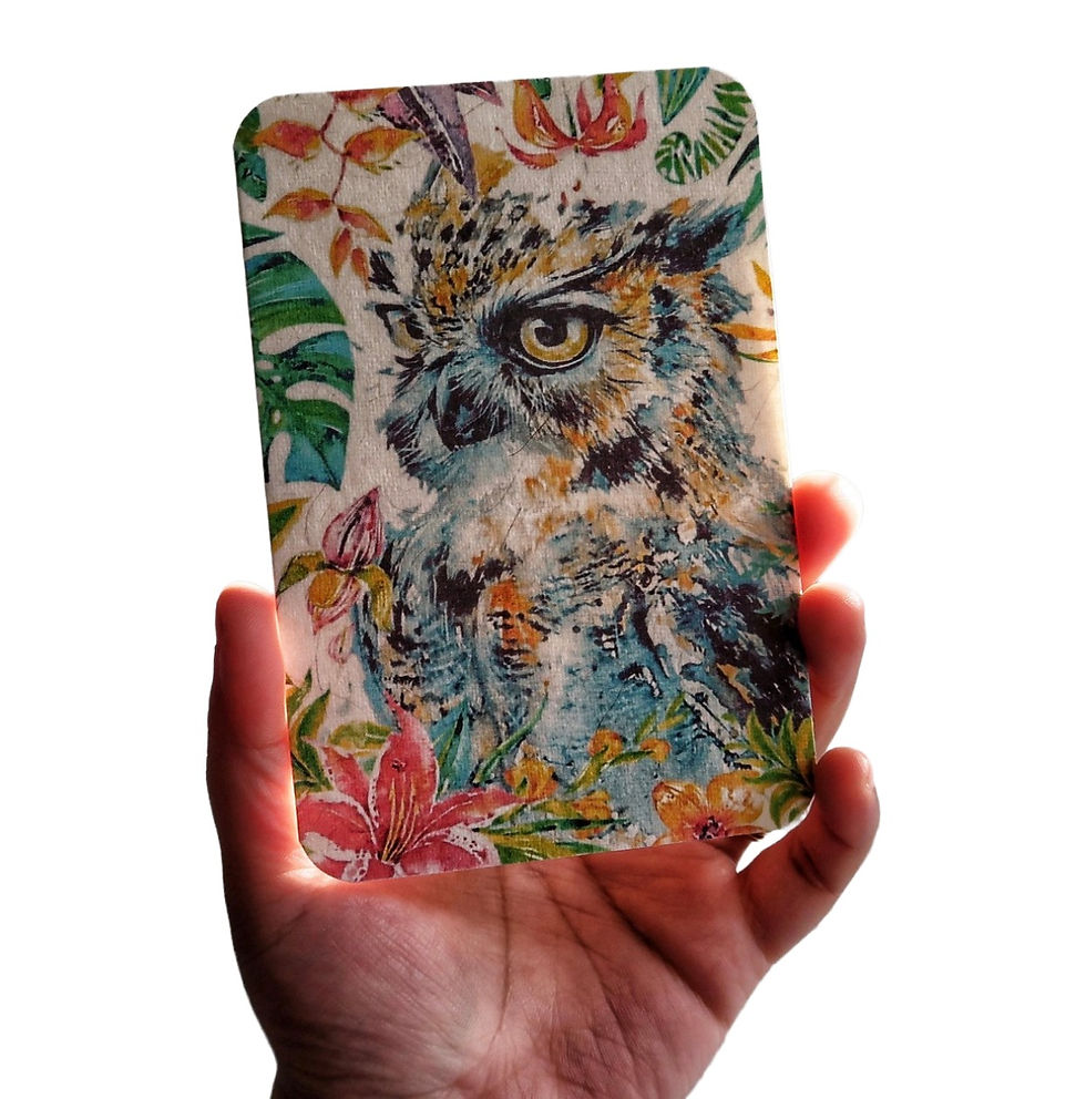 Thumbnail: Tropical Owl Greeting Cards (Set of 5)