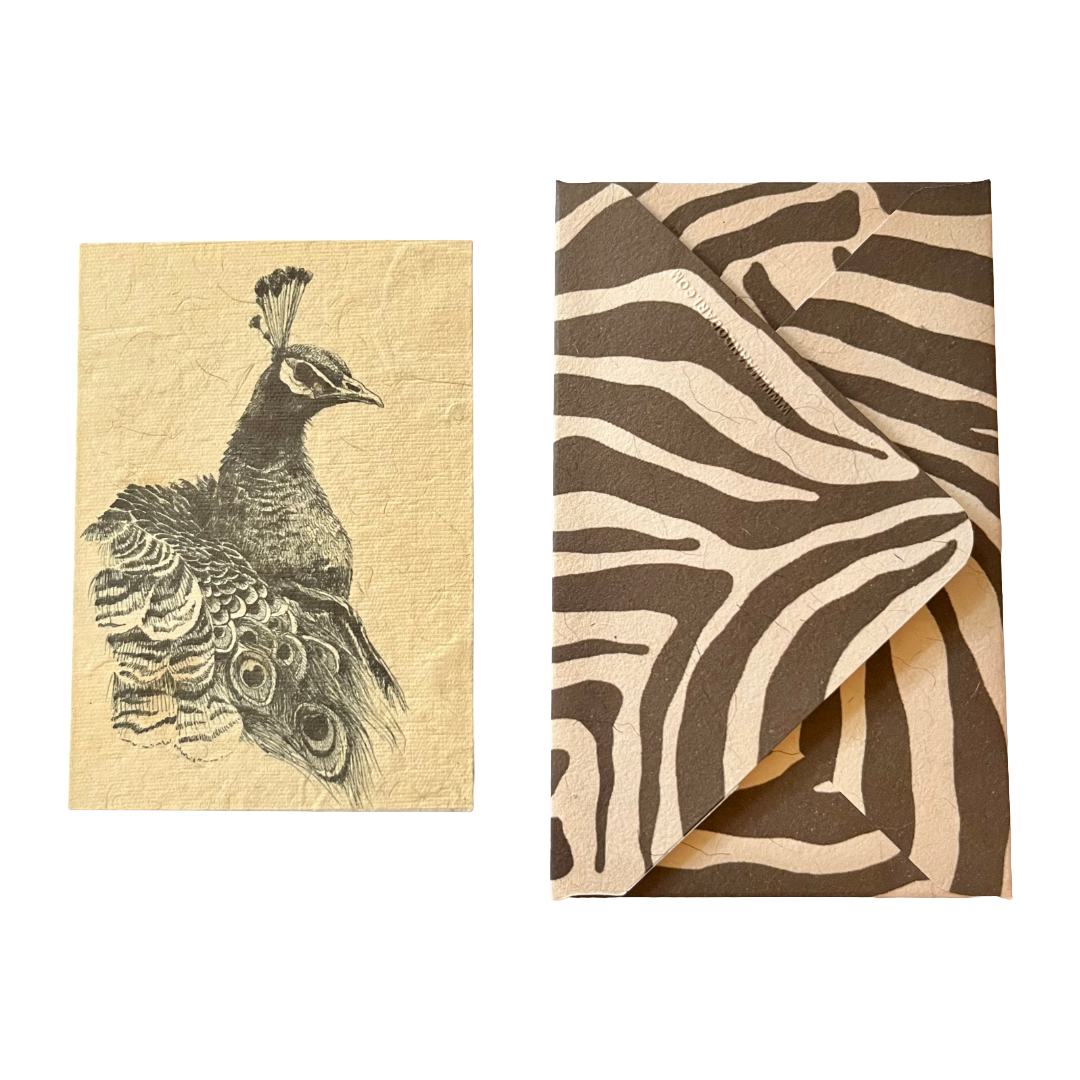 Peacock Greeting Card (Set of 1) by Maandodari